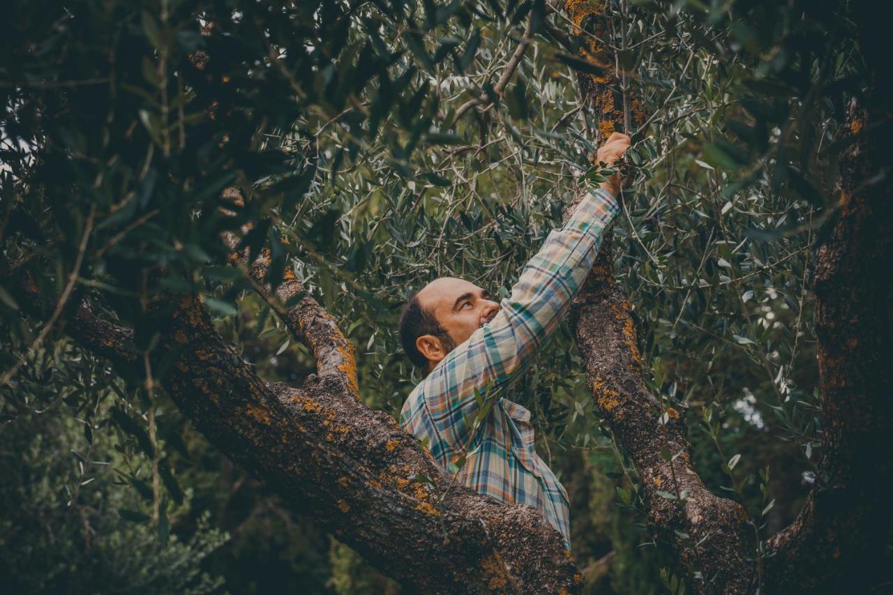 באנורג'יו Agriturismo Buonasera מראה חיצוני תמונה